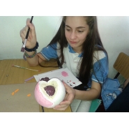 Proyecto de 6to. grado A y B: LA CÉLULA, ORIGEN DE LA VIDA